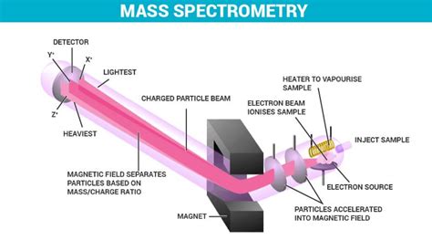 what is mass spectrometry commonly used for